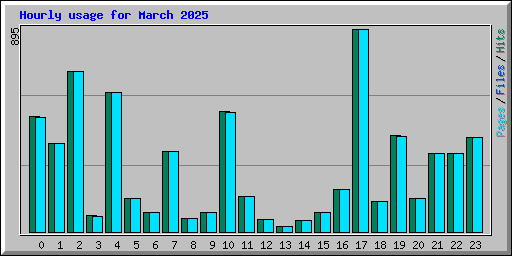 Hourly usage for March 2025