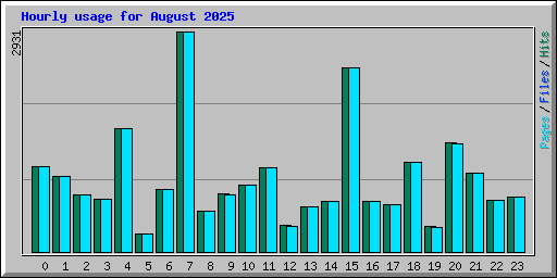 Hourly usage for August 2025